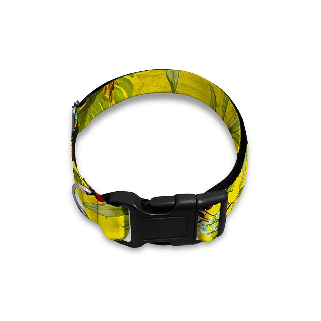 Parrot Tropical Pattern Print Dog Collar
