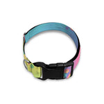 Pastel Acid Melt Print Dog Collar