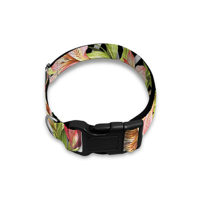 Pastel Alstroemeria Zigzag Pattern Print Dog Collar