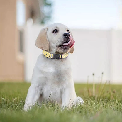Pastel Breast Cancer Awareness Print Dog Collar