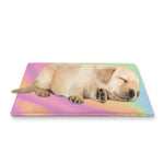 Pastel Holographic Print Pet Cooling Mat Cover