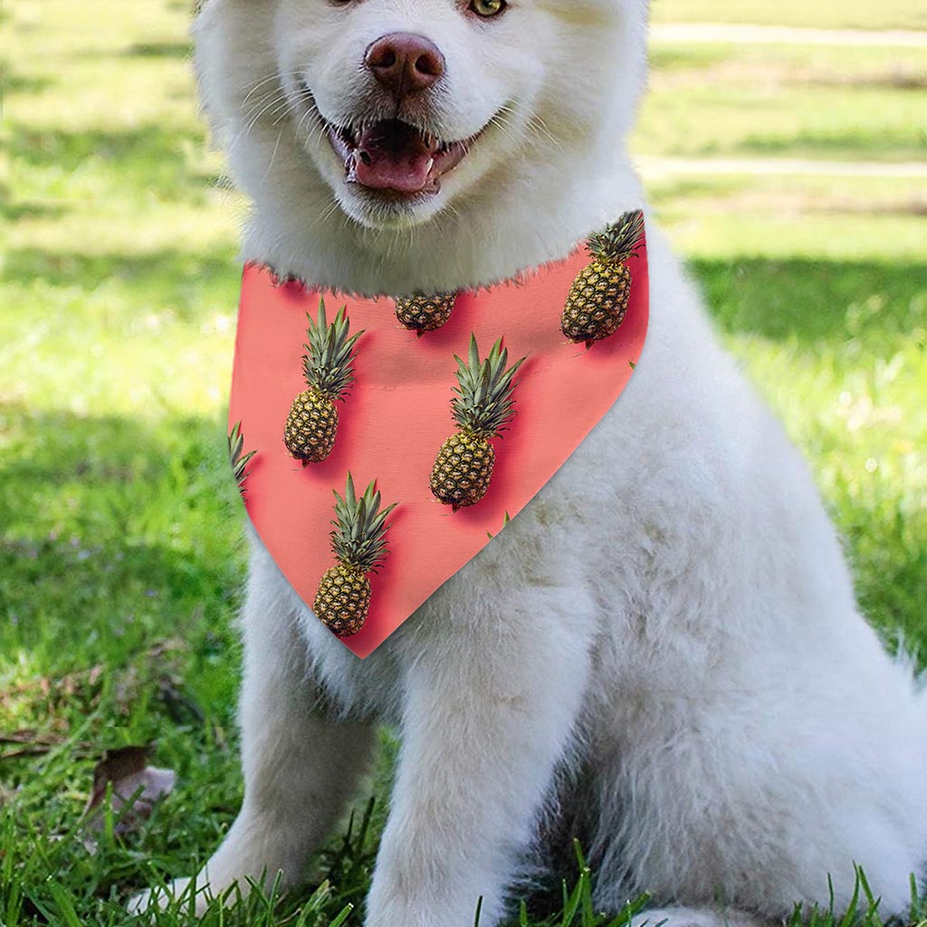 Pastel Pink Pineapple Pattern Print Over The Collar Dog Bandana