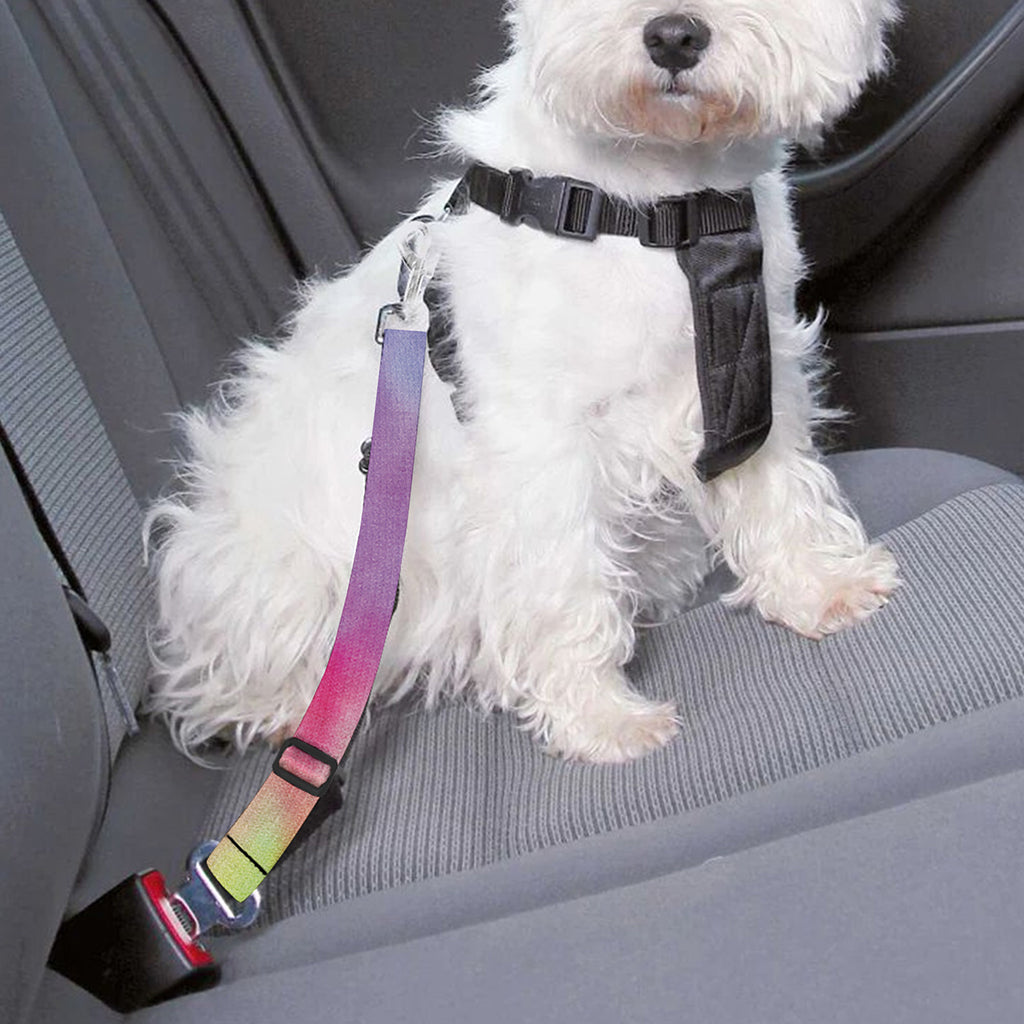 Pastel Spiral Tie Dye Print Dog Seat Belt