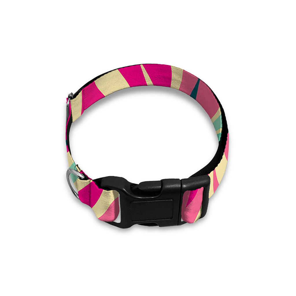 Pastel Zebra Pattern Print Dog Collar
