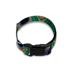 Peacock Tail Pattern Print Dog Collar