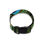 Peacock Tail Print Dog Collar