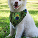 Peacock Tail Print Over The Collar Dog Bandana