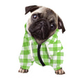 Pear Green And White Gingham Print Dog Zip Up Hoodie