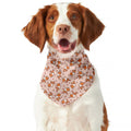 Pembroke Welsh Corgi Pattern Print Dog Bandana