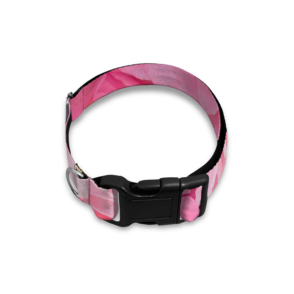 Peony And Rose Print Dog Collar
