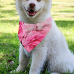 Peony And Rose Print Over The Collar Dog Bandana