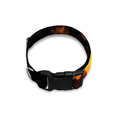 Phoenix Firebird Print Dog Collar