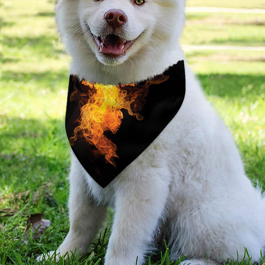 Phoenix Firebird Print Over The Collar Dog Bandana