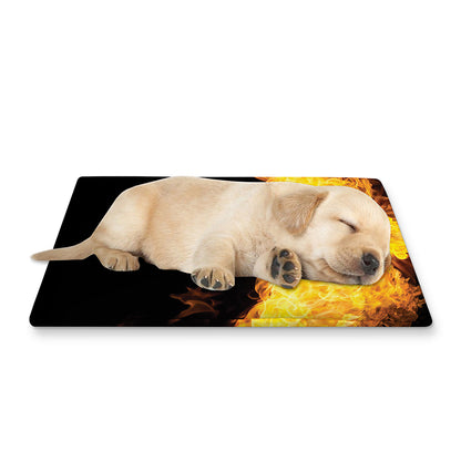 Phoenix Firebird Print Pet Cooling Mat Cover
