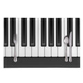 Piano Keyboard Print Placemat