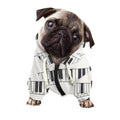 Piano Pattern Print Dog Zip Up Hoodie