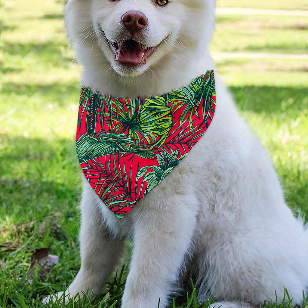Pineapple Leaves Hawaii Pattern Print Over The Collar Dog Bandana