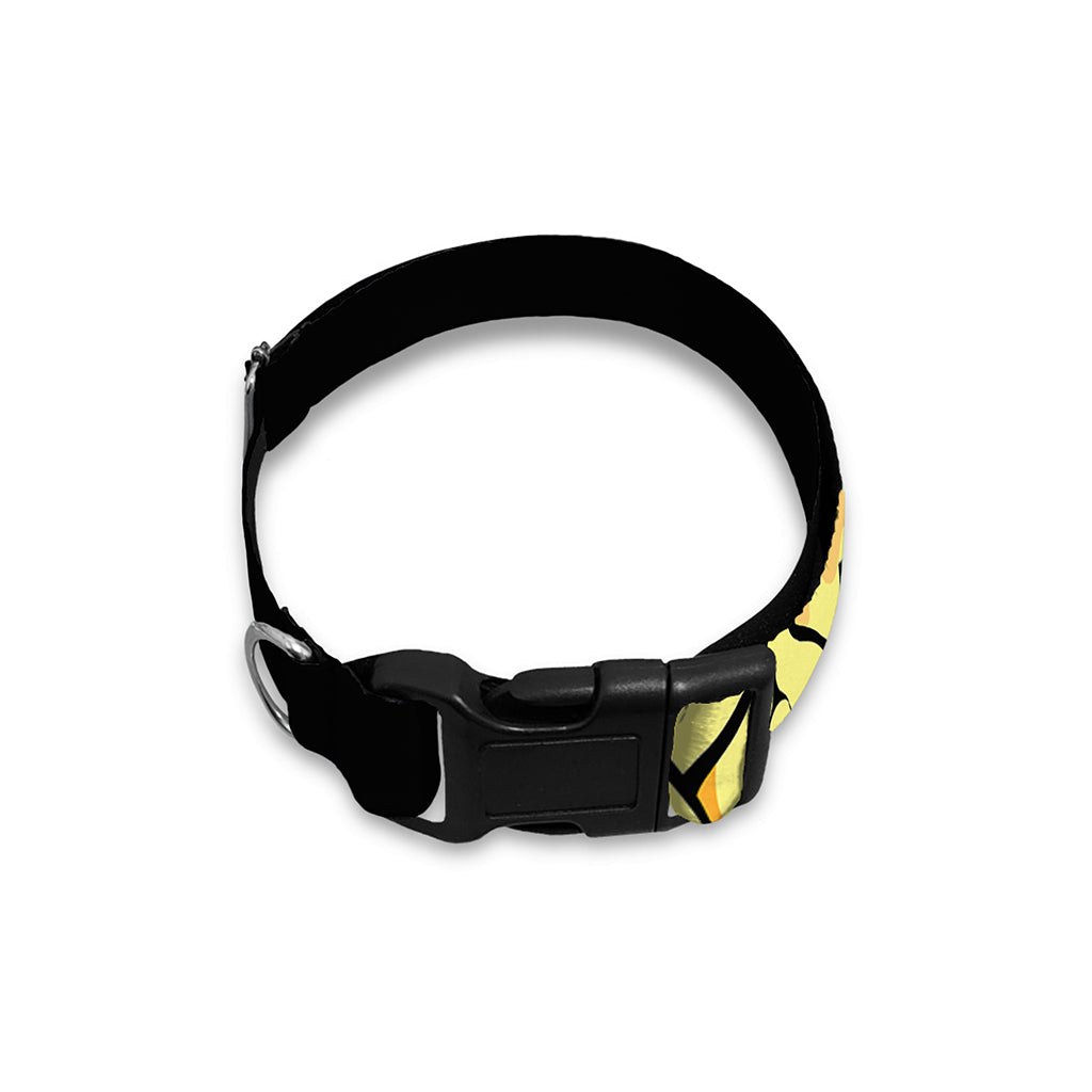 Pineapple Skull Print Dog Collar