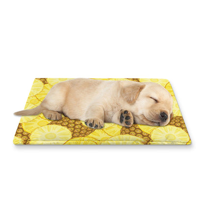 Pineapple Slices Pattern Print Pet Cooling Mat Cover
