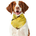 Pineapple Slices Print Dog Bandana