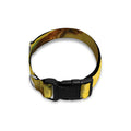 Pineapple Slices Print Dog Collar