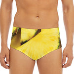 Pineapple Slices Print Men's Triangle Swim Briefs