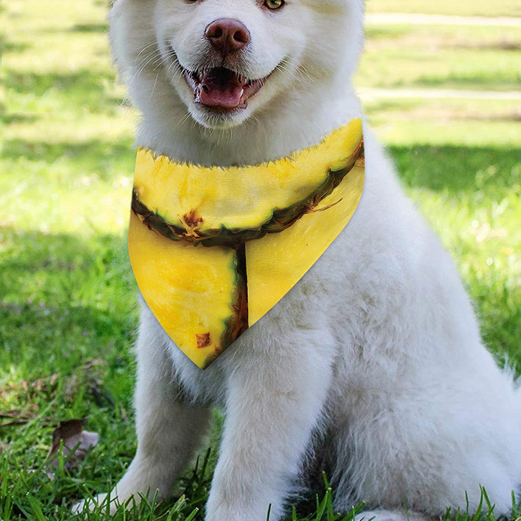 Pineapple Slices Print Over The Collar Dog Bandana