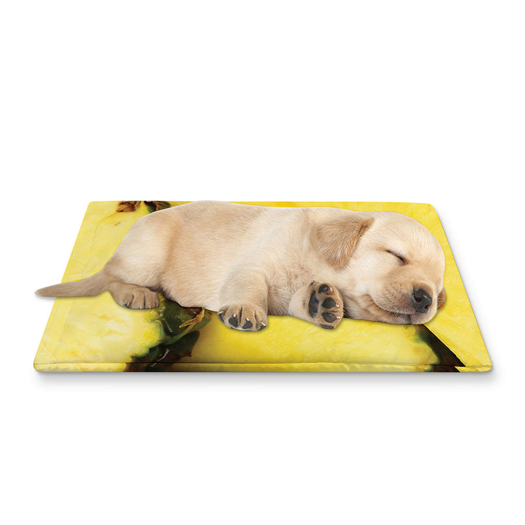Pineapple Slices Print Pet Cooling Mat Cover