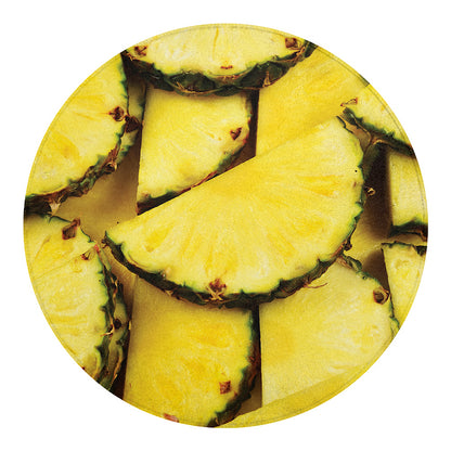Pineapple Slices Print Round Blanket