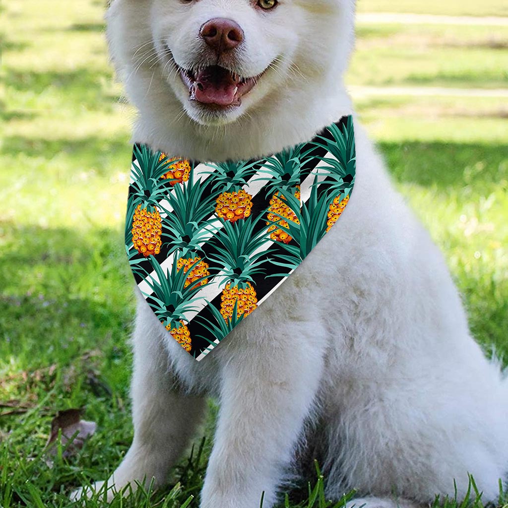 Pineapple Striped Pattern Print Over The Collar Dog Bandana