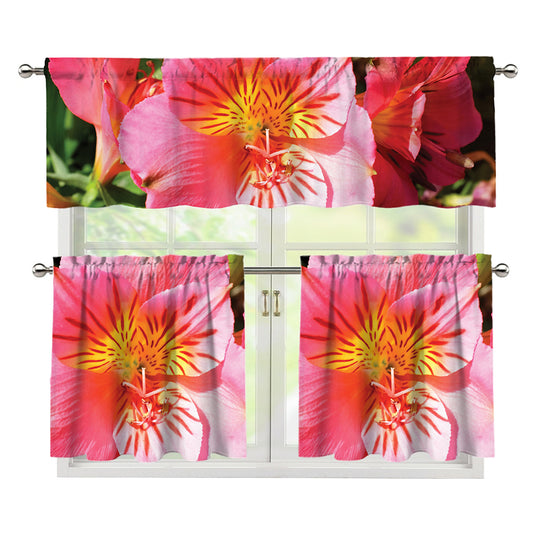 Pink Alstroemeria Print 3 Piece Kitchen Curtains
