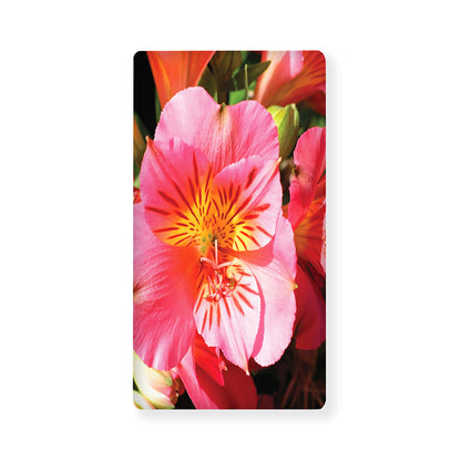 Pink Alstroemeria Print Baby Crib Sheet