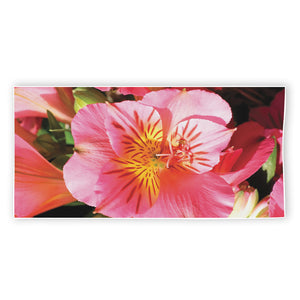 Pink Alstroemeria Print Beach Towel