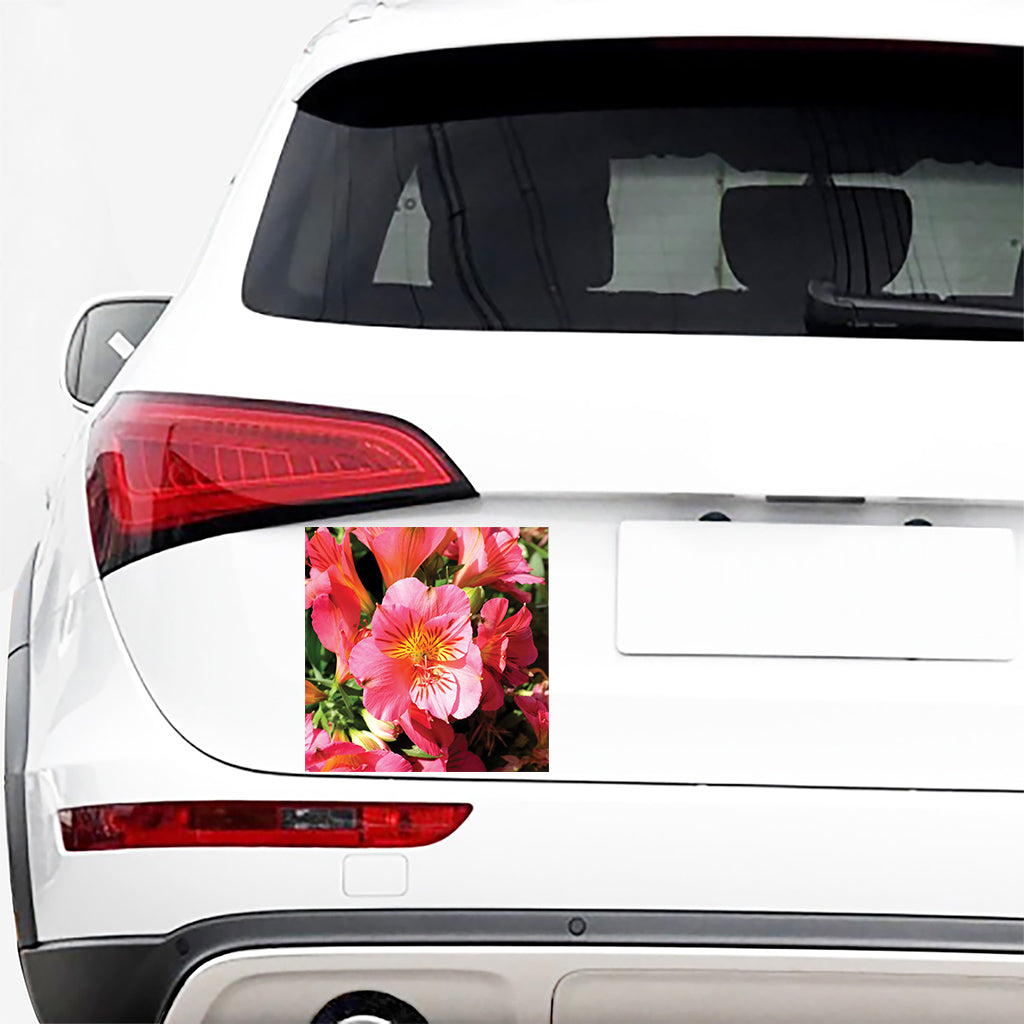 Pink Alstroemeria Print Car Sticker