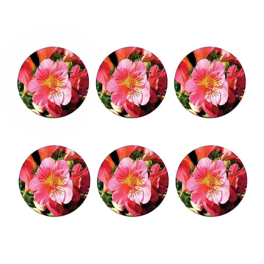 Pink Alstroemeria Print Coaster Set