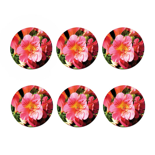 Pink Alstroemeria Print Coaster Set
