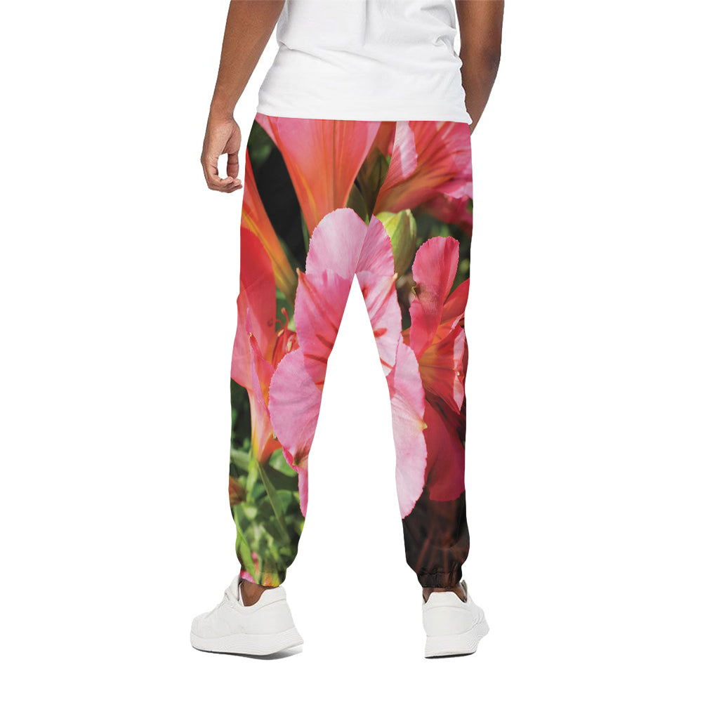Pink Alstroemeria Print Cotton Pants
