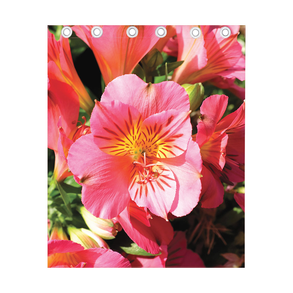 Pink Alstroemeria Print Curtain