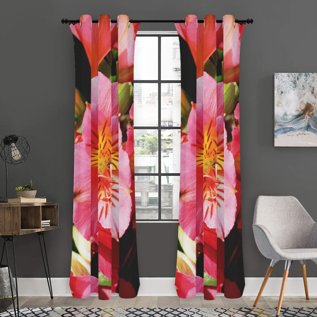 Pink Alstroemeria Print Curtain