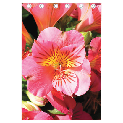 Pink Alstroemeria Print Curtain
