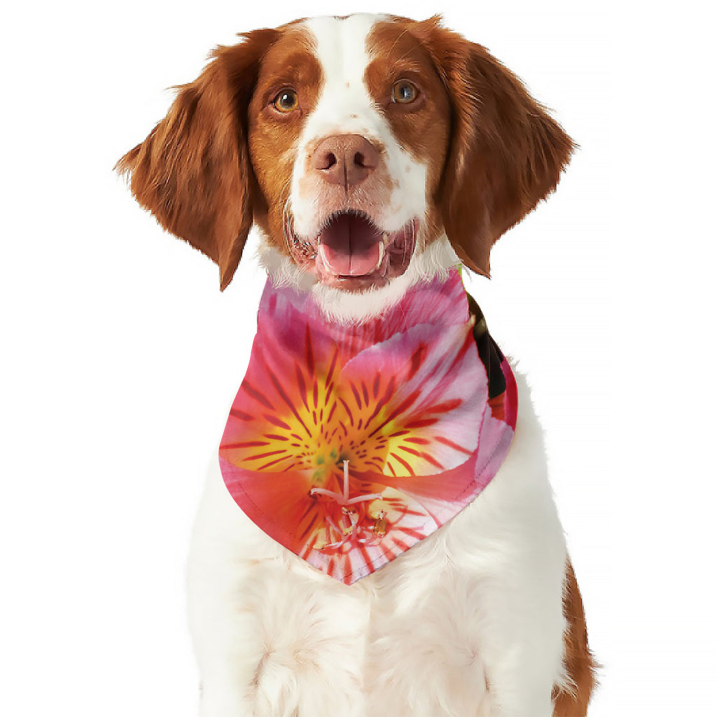 Pink Alstroemeria Print Dog Bandana