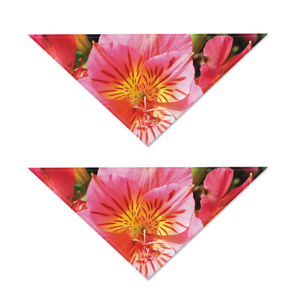 Pink Alstroemeria Print Dog Bandana