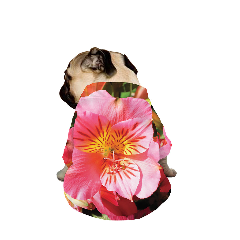 Pink Alstroemeria Print Dog Zip Up Jacket