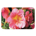 Pink Alstroemeria Print Indoor Door Mat