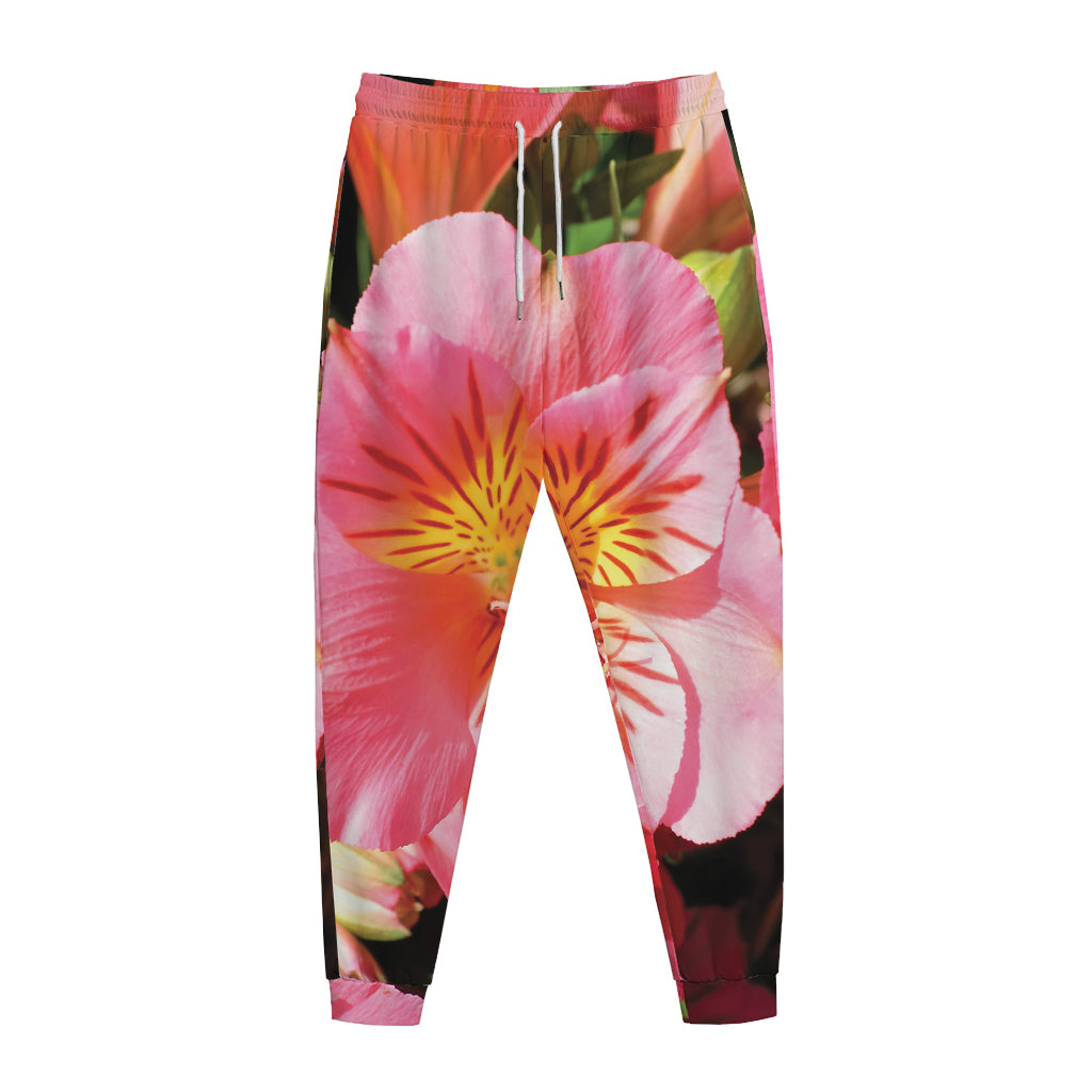 Pink Alstroemeria Print Jogger Pants