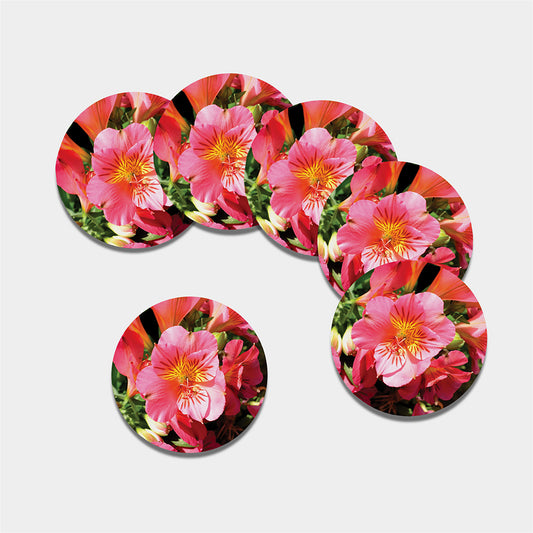 Pink Alstroemeria Print Leather Coaster Set