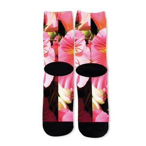 Pink Alstroemeria Print Long Socks