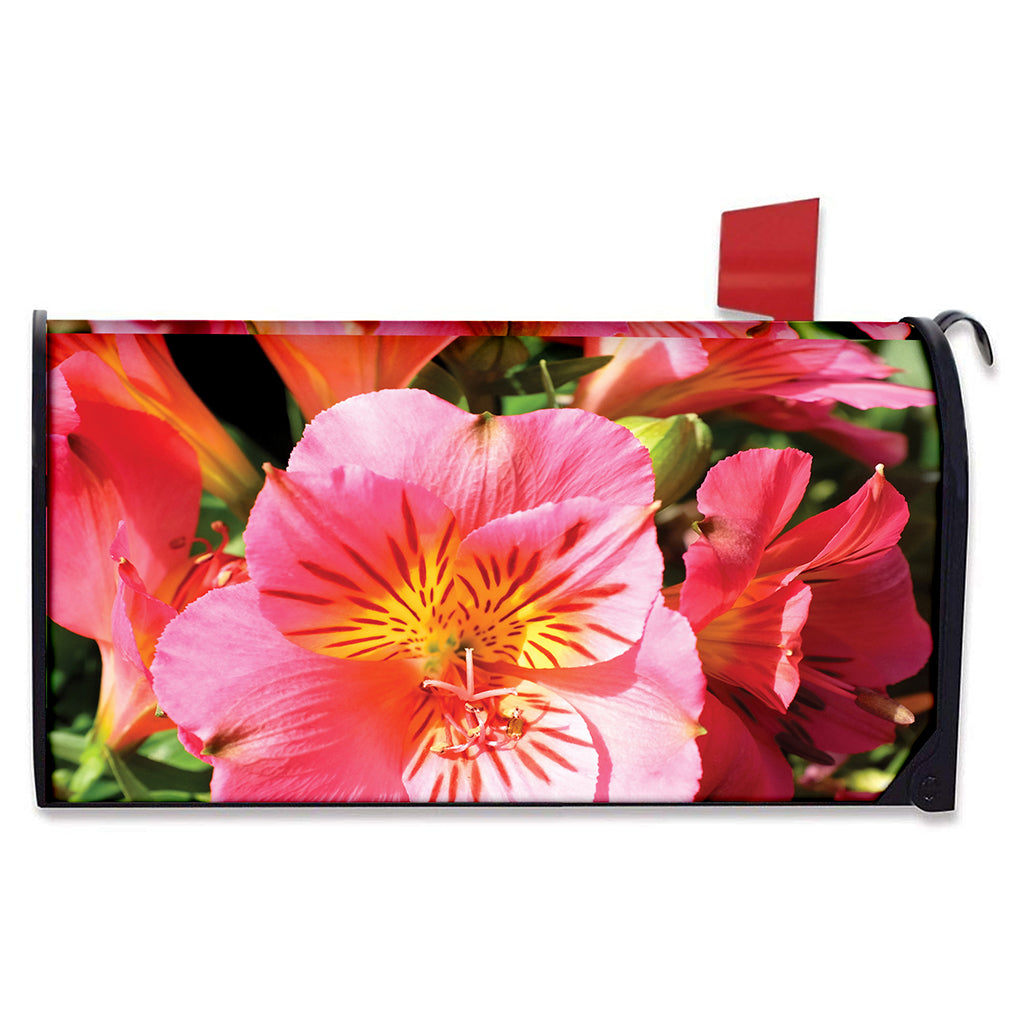 Pink Alstroemeria Print Mailbox Cover