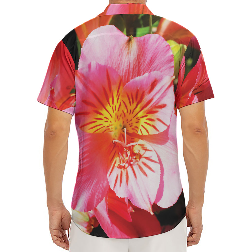 Pink Alstroemeria Print Men's Deep V-Neck Shirt