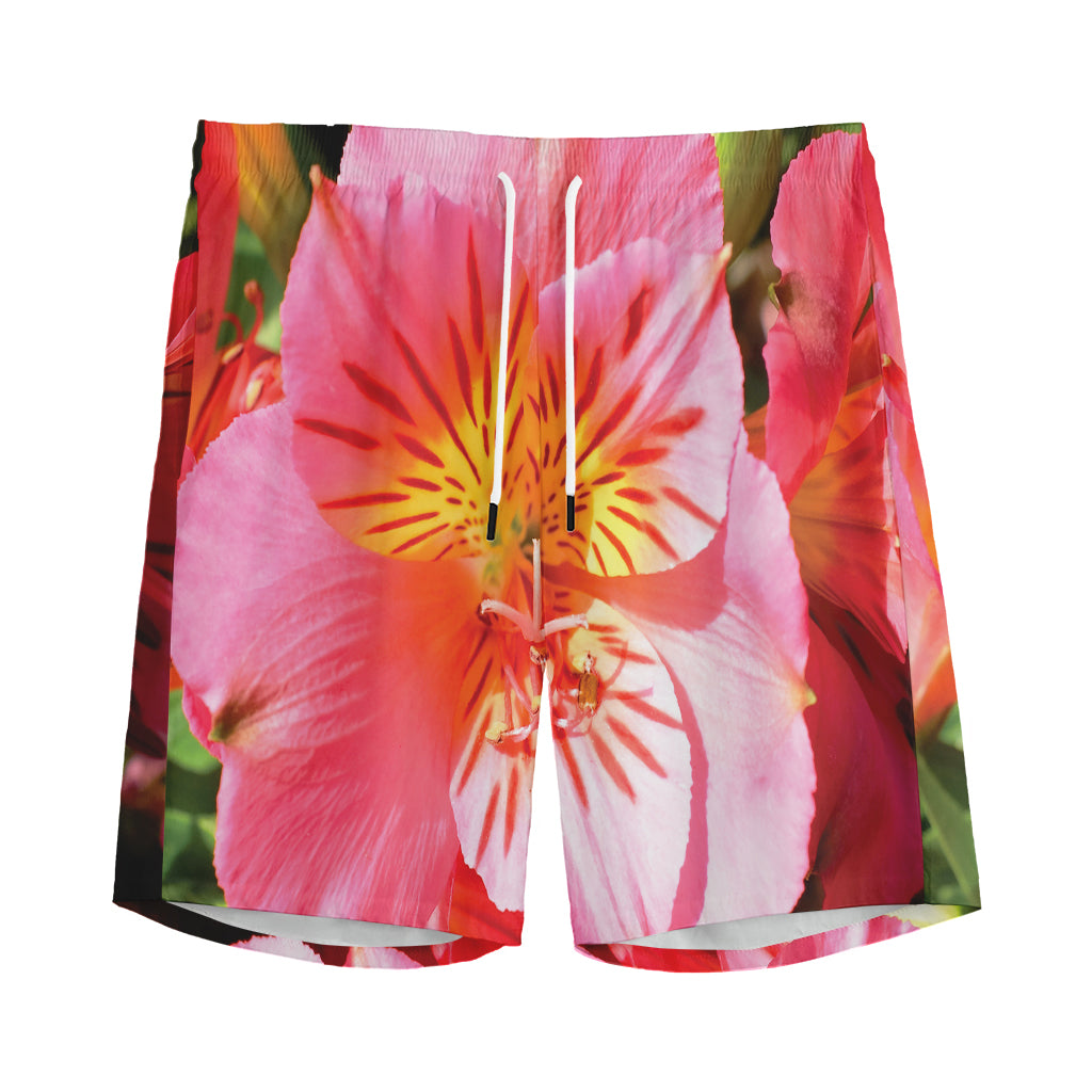 Pink Alstroemeria Print Men's Sports Shorts